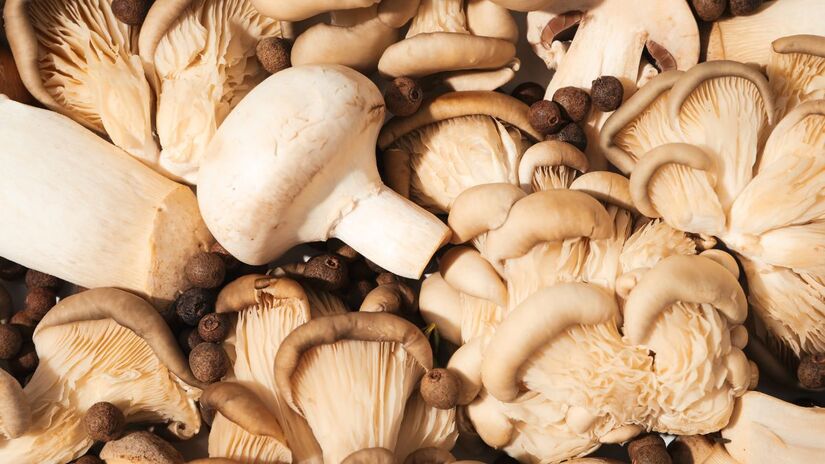 O volume produzido na cidade chega a impressionantes 300 toneladas por mês / ImageFX