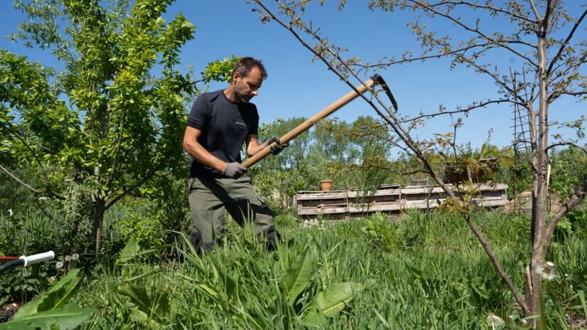 Construa como quiser, mas plante metade do que ocupa. Você aceitaria esse desafio? Conheça o bairro que desafia o planejamento tradicional e aposta na autonomia total do cidadão. Tara Schepers and Yolanda Sikking/Almere municipality