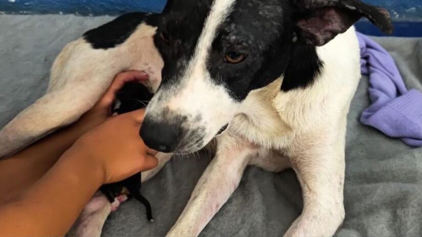 A combinação de chuvas intensas com a ressaca e a maré alta impediu o escoamento das águas na região central /Divulgação
