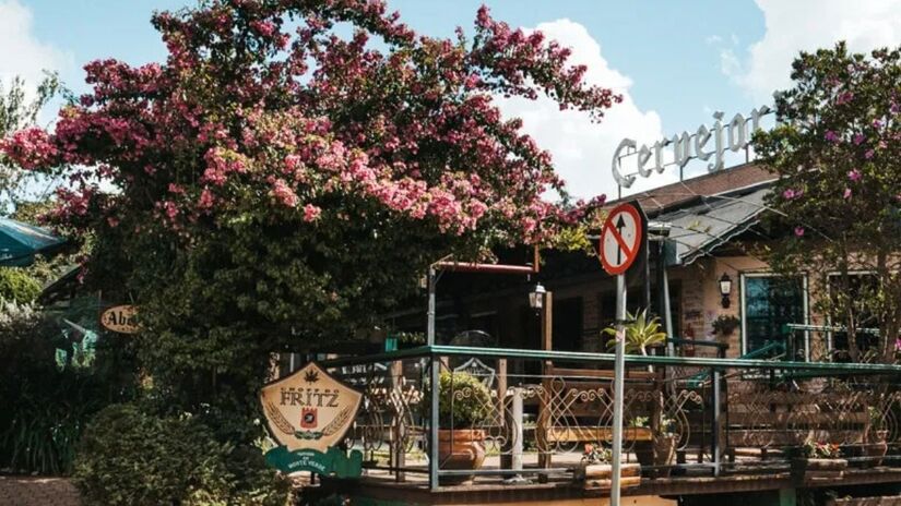 Conhecida como a "Suíça de Minas", Monte Verde encanta com chalés de madeira, ruas de pedra e temperaturas baixas que lembram vilas dos Alpes. /viajando na janela
