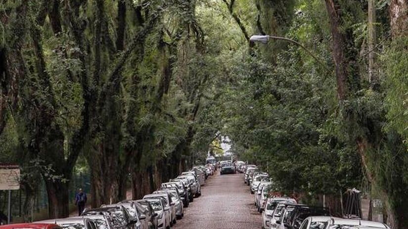 Cristine Rochol / PMPA