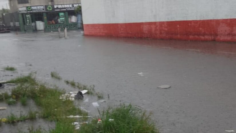 Avenida Augusto Severo, São Vicente, créditos: Noemi Almeida/DL