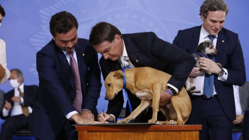 Em setembro de 2019, o então Presidente do Brasil, Jair Messias Bolsonaro sancionou a Lei 1.095/2019, que aumenta a punição para quem praticar atos de abuso, maus-tratos, ferir ou mutilar animais (Carolina Antunes/PR)