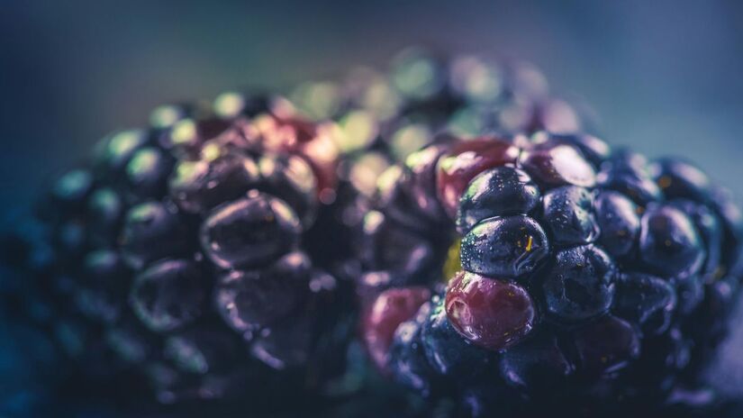 Além de proteger os rins, a alta concentração de antocianinas no fruto auxilia na saúde cardiovascular e no controle dos níveis de açúcar no sangue/Pexels