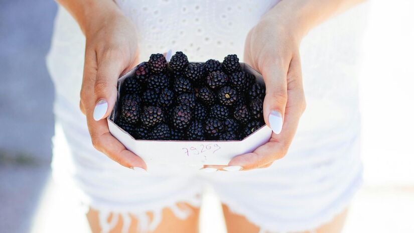 A ciência agora investiga como os compostos naturais desta planta podem prevenir o envelhecimento precoce das células e proteger a função cognitiva/Pexels