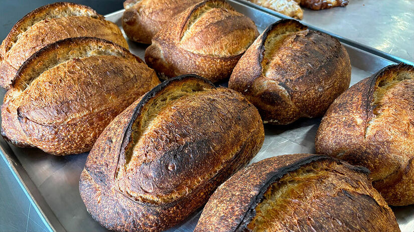 Revo Manufactory - Isabella Fernandes/DL