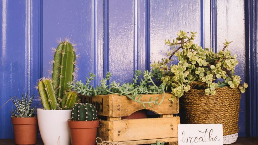 Com a decoração mais leve após as festas, vasos ajudam a renovar visualmente os espaços da casa