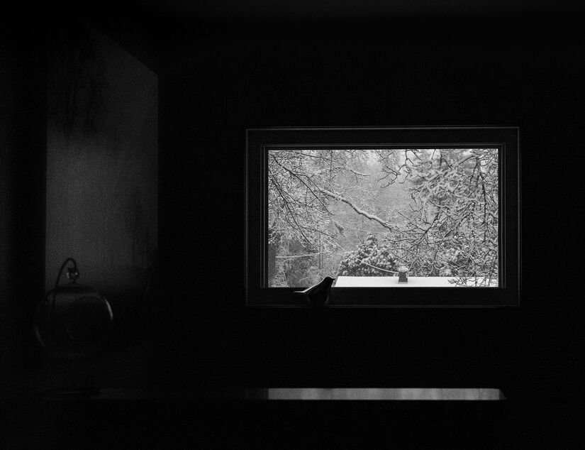 O comportamento se repete porque o "inimigo" nunca vai embora  afinal, &eacute; apenas o reflexo/Pixabay