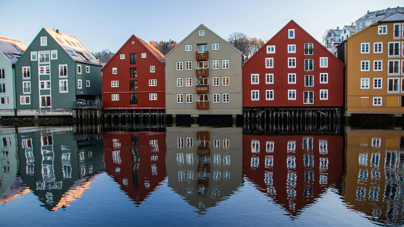 Simon Williams
/Unsplash