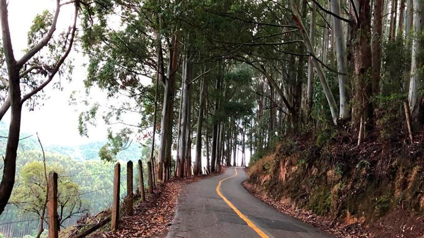 Divulgação/Prefeitura Camanducaia