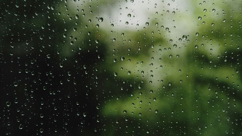 O desumidificador não serve apenas para tirar a água do ar; ele protege seu guarda-roupa, seus eletrônicos e, principalmente, a sua saúde respiratória ao manter a umidade relativa do ar entre 40% e 60%/Pexels