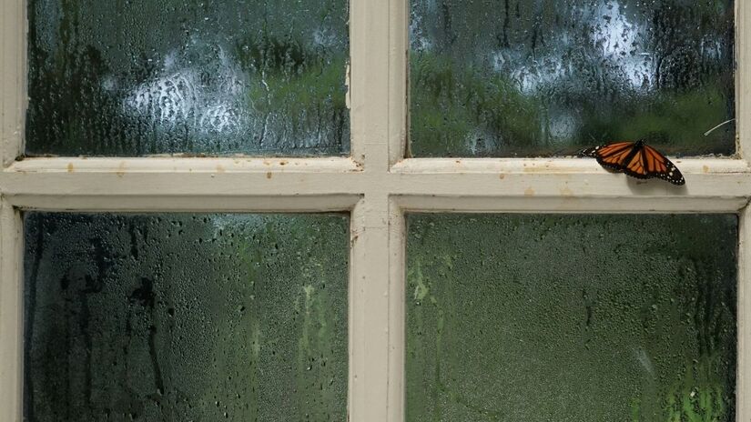 Colocar o desumidificador no ambiente de secagem acelera o processo e garante que suas peças fiquem livres da umidade que causa o odor desagradável/Pexels