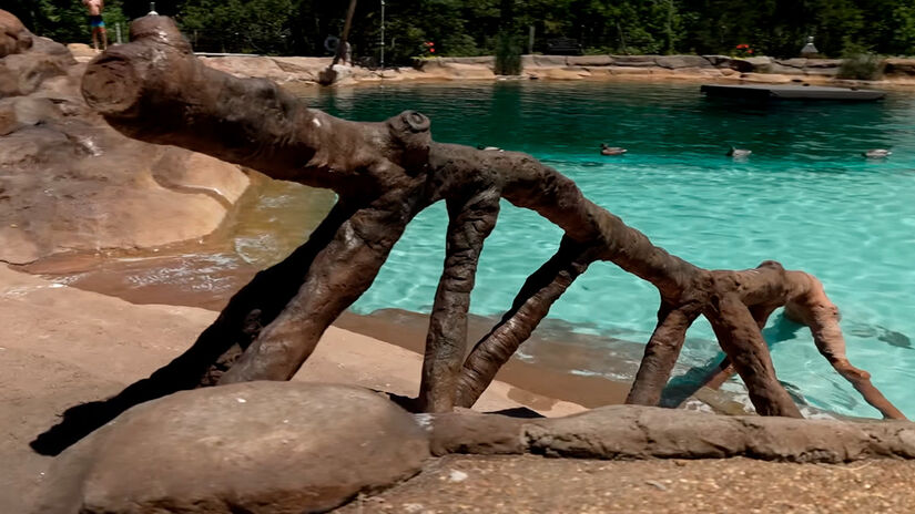 Coolest Thing/Youtube