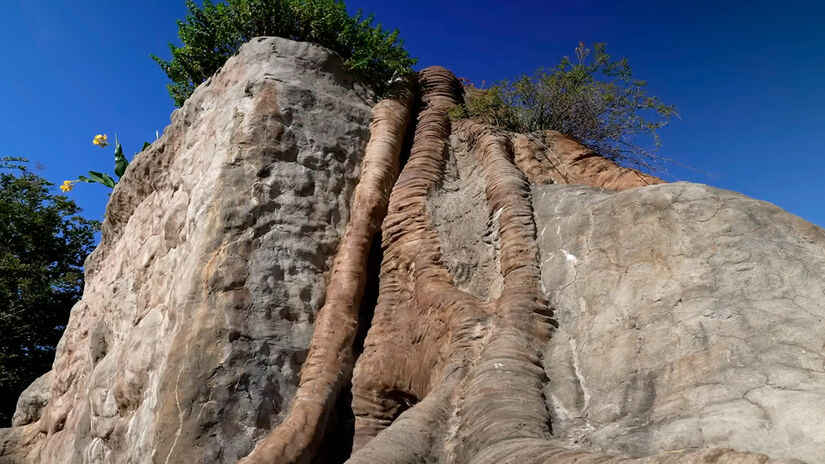 Coolest Thing/Youtube