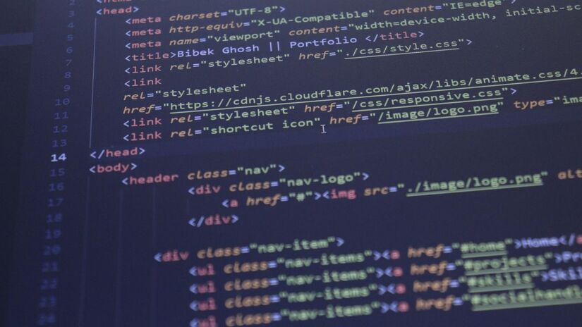 Sem desmatar, o projeto utiliza leitos dos rios para conectar 70 cidades da Amazônia à fibra óptica/Pexels