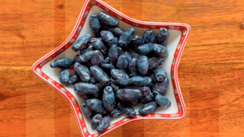 Pode ser consumida fresca, congelada, em geleias, sucos ou misturada a receitas simples. Reprodução/Youtube