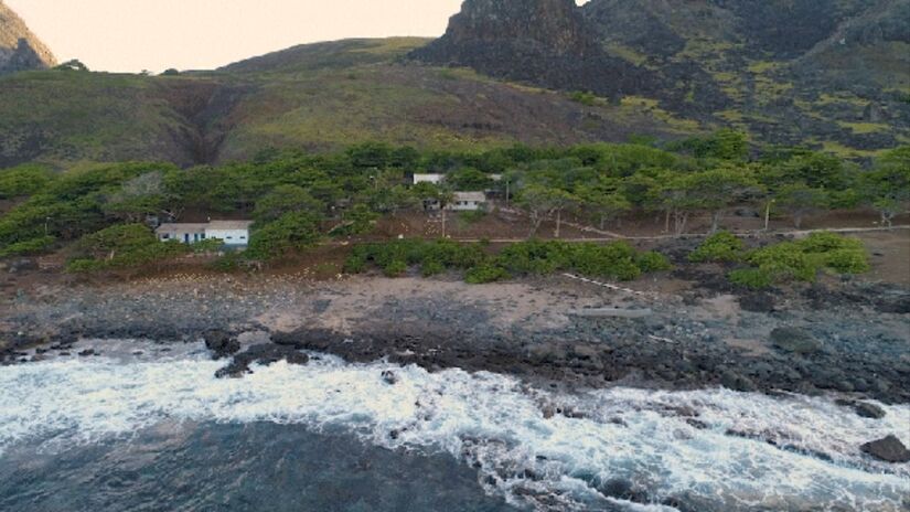 Após a retirada de cabras introduzidas em 1700, a cobertura vegetal da ilha cresceu 1.468%, permitindo o renascimento de florestas nativas/Marinha do Brasil