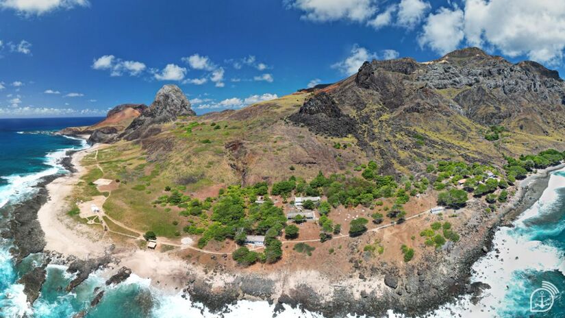 A samambaia-gigante é uma das relíquias botânicas que só existem em Trindade e agora volta a se espalhar livremente pelo solo vulcânico/Agência Marinha de Notícias