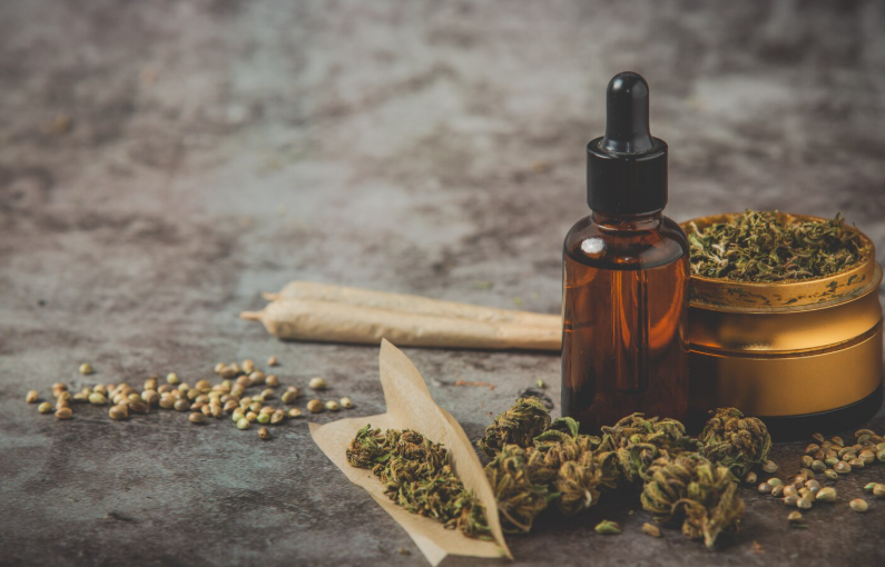 Cientistas utilizaram técnicas de reconstrução ancestral para identificar duplicações genéticas responsáveis pela formação de enzimas como THC, CBD e CBC.