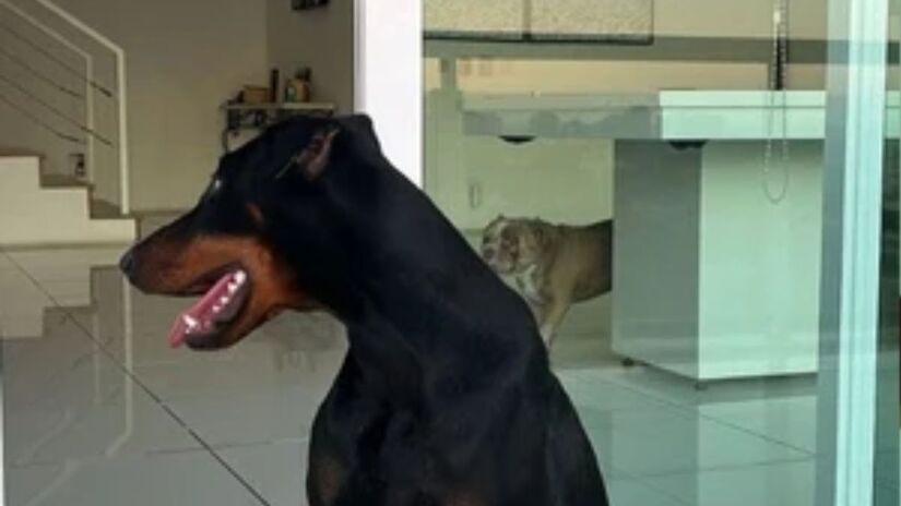 A área externa inclui varanda ampla, churrasqueira e espaço para receber amigos e familiares/Reprodução