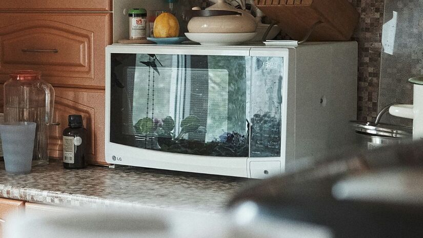 Vitaminas do complexo B e vitamina C são sensíveis às ondas do aparelho. Para preservar a saúde da sua família, prefira o aquecimento lento no fogão, garantindo um alimento mais rico e seguro/Unsplash