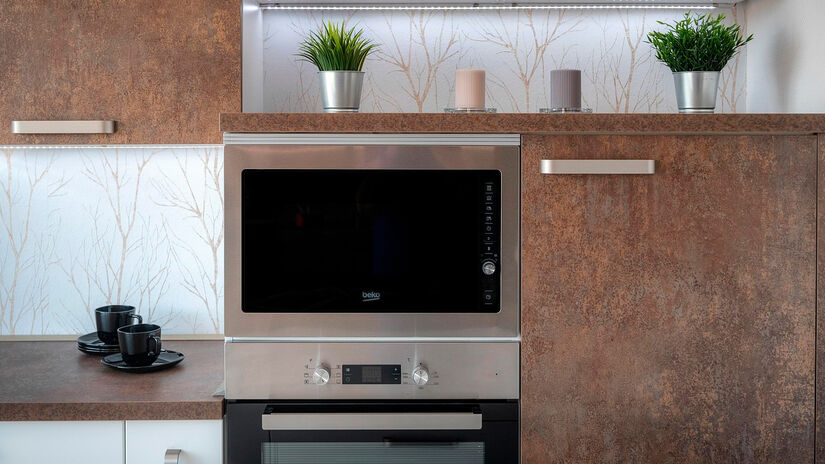 O aquecimento por ondas eletromagnéticas pode deixar pães duros e carnes com aspecto borrachudo quando usado sem critério. Pixabay