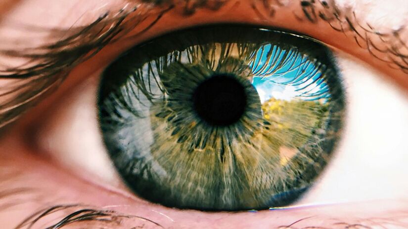 Cientistas desenvolvem implante que substitui células mortas da retina e devolve a capacidade de leitura a pacientes com perda de visão/Pexels