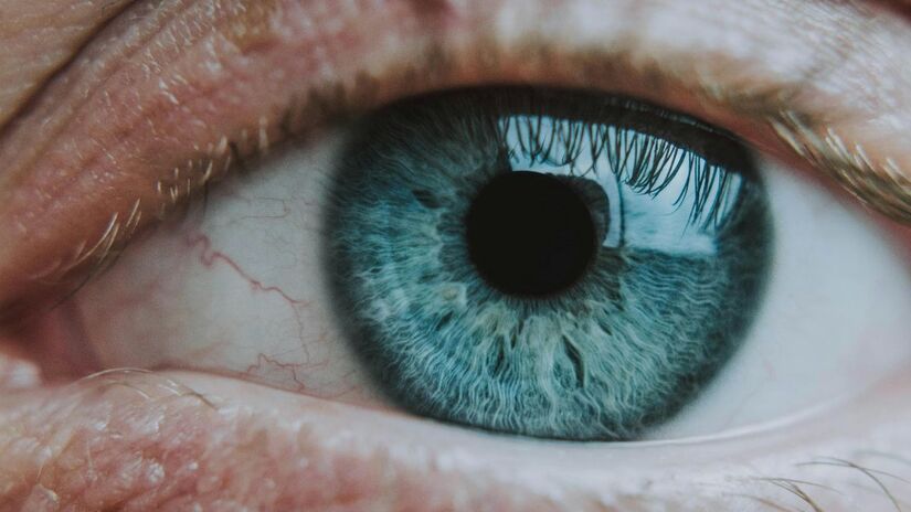 O sistema utiliza óculos inteligentes com câmeras que transformam imagens em sinais elétricos interpretados diretamente pelo cérebro humano/Pexels