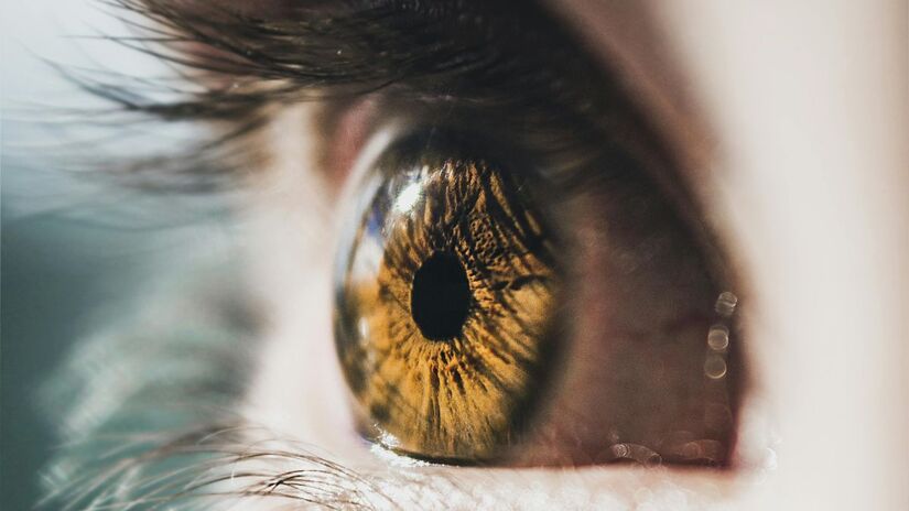 Tecnologia inovadora promete devolver a autonomia para pessoas com degeneração macular, permitindo que voltem a identificar letras e rostos/Pexels