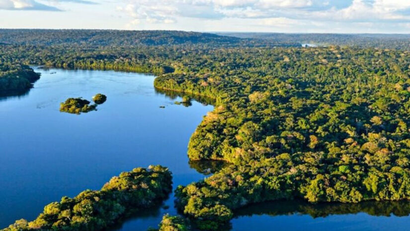 No Pantanal (Mato Grosso e Mato Grosso do Sul), o foco é a observação da fauna / Divulgação/Adriano Gambarini/gov.br