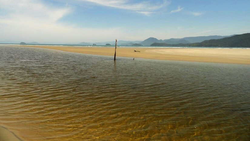 Esta não é a primeira vez que a Fazenda brilha no exterior / Divulgação/PMU