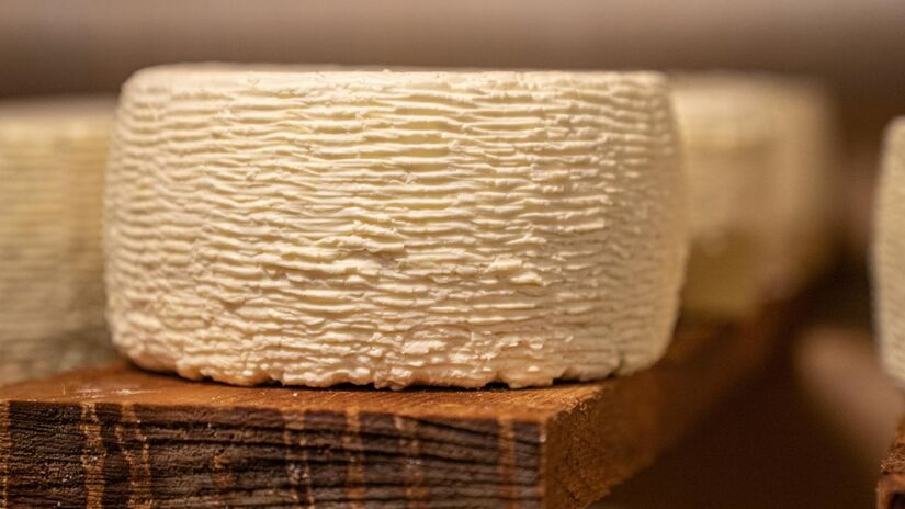 Você sabe como surgem os buracos no queijo Emmental? Eles são chamados de olhos e surgem durante o processo de maturação. Bactérias específicas liberam bolhas de dióxido de carbono que ficam presas na massa do queijo, criando essas cavidades icônicas que o tornam famoso no mundo inteiro/Pexels