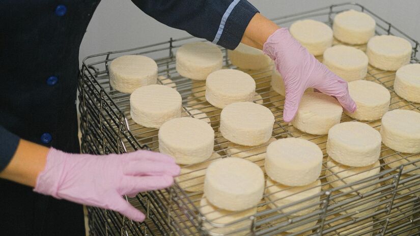 Além das proteínas, o queijo suíço é um verdadeiro complexo mineral. Ele fornece quantidades significativas de cálcio, fósforo, ferro e magnésio. Esses elementos são fundamentais não apenas para o fortalecimento dos ossos e dentes, mas também para o bom funcionamento do sistema nervoso e muscular/Pexels