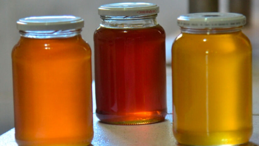 Aires Mariga / Epagri