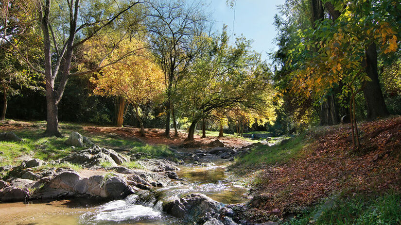 Um local calmo para apreciar o canto dos pássaros e a vegetação nativa / Divulgação/Villa General Belgrano