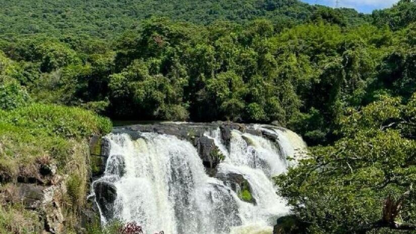 O que vem auxiliando esse cen&aacute;rio &eacute; a combina&ccedil;&atilde;o do solo formado por cinzas e rochas vulc&acirc;nicas (rico em ferro, mangan&ecirc;s, zinco e pot&aacute;ssio) com o clima de altitude das montanhas (PMPC/Divulga&ccedil;&atilde;o/Imagem Meramente Ilustrativa)