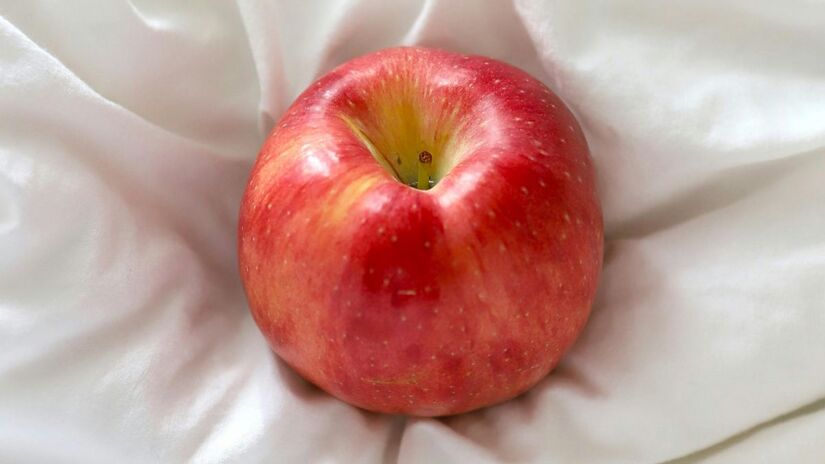 A 'revolta do purê' na Holanda mostra como decisões administrativas baseadas em diretrizes de saúde podem ignorar o contexto cultural e afetivo dos idosos/Pexels