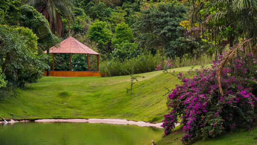 Em 2026, o instituto celebrará duas décadas de abertura ao público / Inhotim/William Gomes