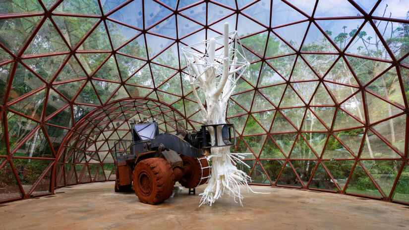 Instituto Inhotim, localizado em Brumadinho, no estado de Minas Gerais / Inhotim/William Gomes