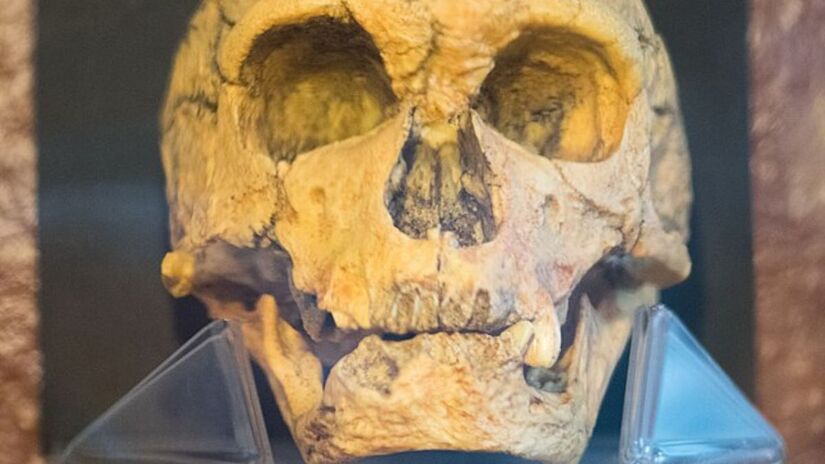 Vestígios associados a ferramentas de pedra ajudam pesquisadores a reconstruir o modo de vida dos primeiros neandertais do Período Paleolítico Inferior. Wikimedia Commons/Thomas Quine

