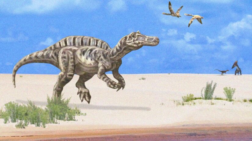 A recuperação ambiental da Formação Romualdo destaca a importância da preservação de um dos mais relevantes sítios geológicos e paleontológicos do Brasil. A iniciativa busca proteger o ecossistema, valorizar o patrimônio natural e garantir que futuras gerações possam conhecer e estudar esse registro único da história da Terra / PaleoGeekSquared/Wikimedia Commons