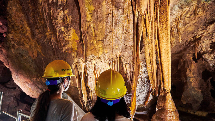 O local tornou-se uma referência pedagógica para o estudo da geografia e da botânica regional / Organização de Turismo da Coreia, filial de Gangwon