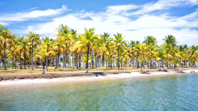Piscinas naturais formadas na mar&eacute; baixa revelam a riqueza do mar da regi&atilde;o / Ot&aacute;vio Nogueira/Wikimedia Commons