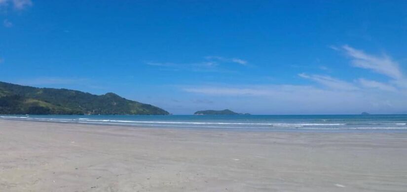 Cercada pela Mata Atlântica e com águas tranquilas, a Praia da Fazenda é refúgio perfeito para quem busca natureza e sossego no litoral