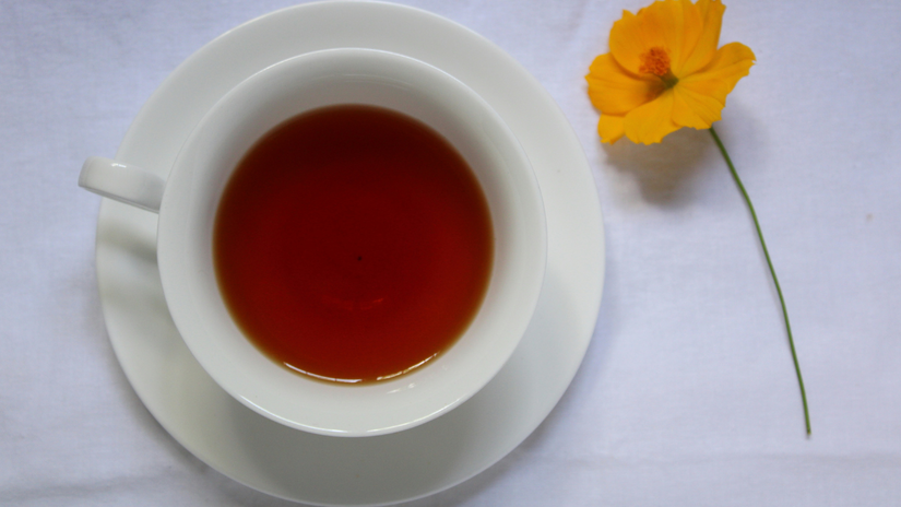 Conhecido como erva-de-santa-maria, o mastruz é indicado para dores articulares, reumatismos e problemas estomacais. Unsplash/Dilani Wickramanayake
