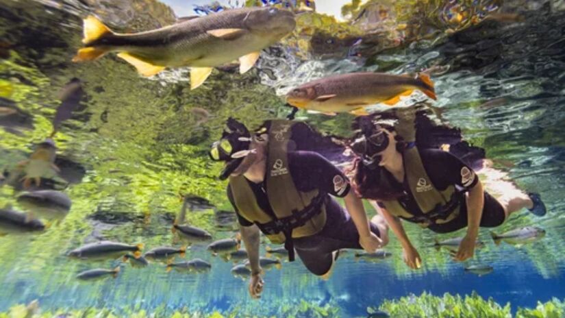 O Aqu&aacute;rio Natural &eacute; um passeio que dura cerca de duas horas, onde os visitantes flutuam numas das &aacute;guas mais cristalinas do mundo (Turismo Bonito/Divulga&ccedil;&atilde;o)