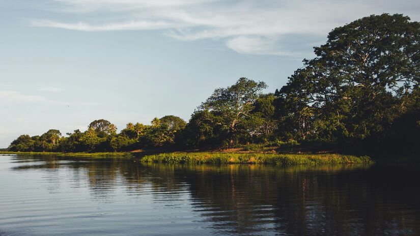 Reconhecido como Patrimônio Natural da Humanidade pela UNESCO, o bioma depende de turismo responsável e políticas de conservação para manter sua riqueza natural. Unsplash/Nathalia Segato
