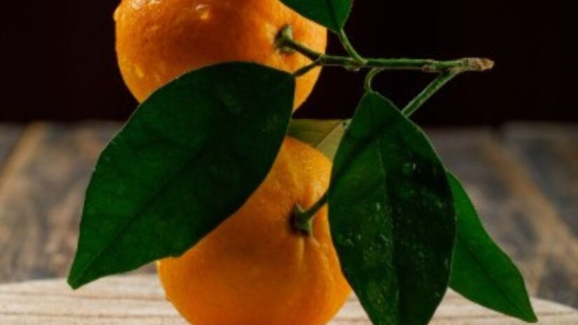 O Brasil está entre os maiores produtores mundiais de tangerina, com cultivo em todas as regiões. São Paulo e Minas Gerais lideram a produção nacional da fruta. /freepik