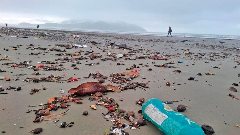 Foto: Nair Bueno/Diário do Litoral