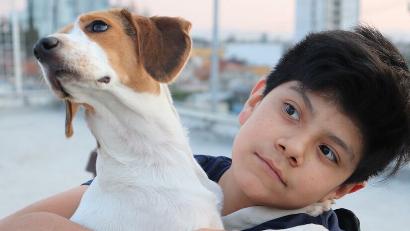 A convivência com cachorros contribui para a redução do estresse e da ansiedade no dia a dia / Pixabay